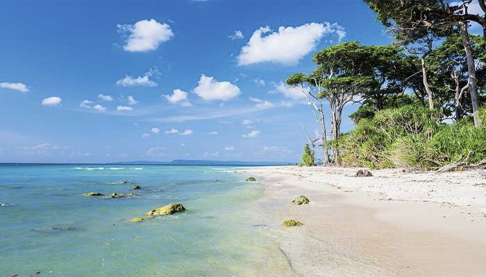 Andaman Beach Holiday Tour Package